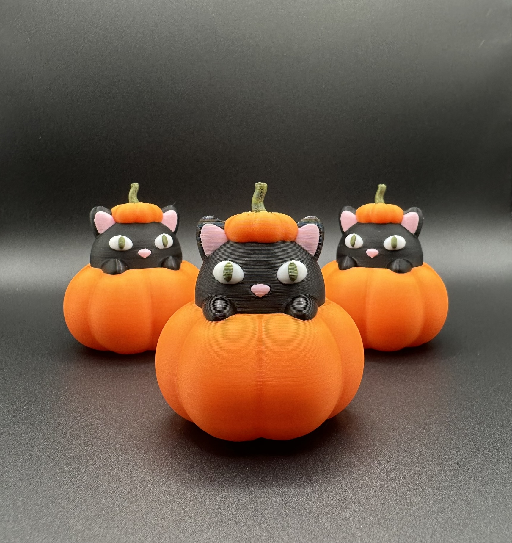 CAT IN PUMPKIN | HALLOWEEN