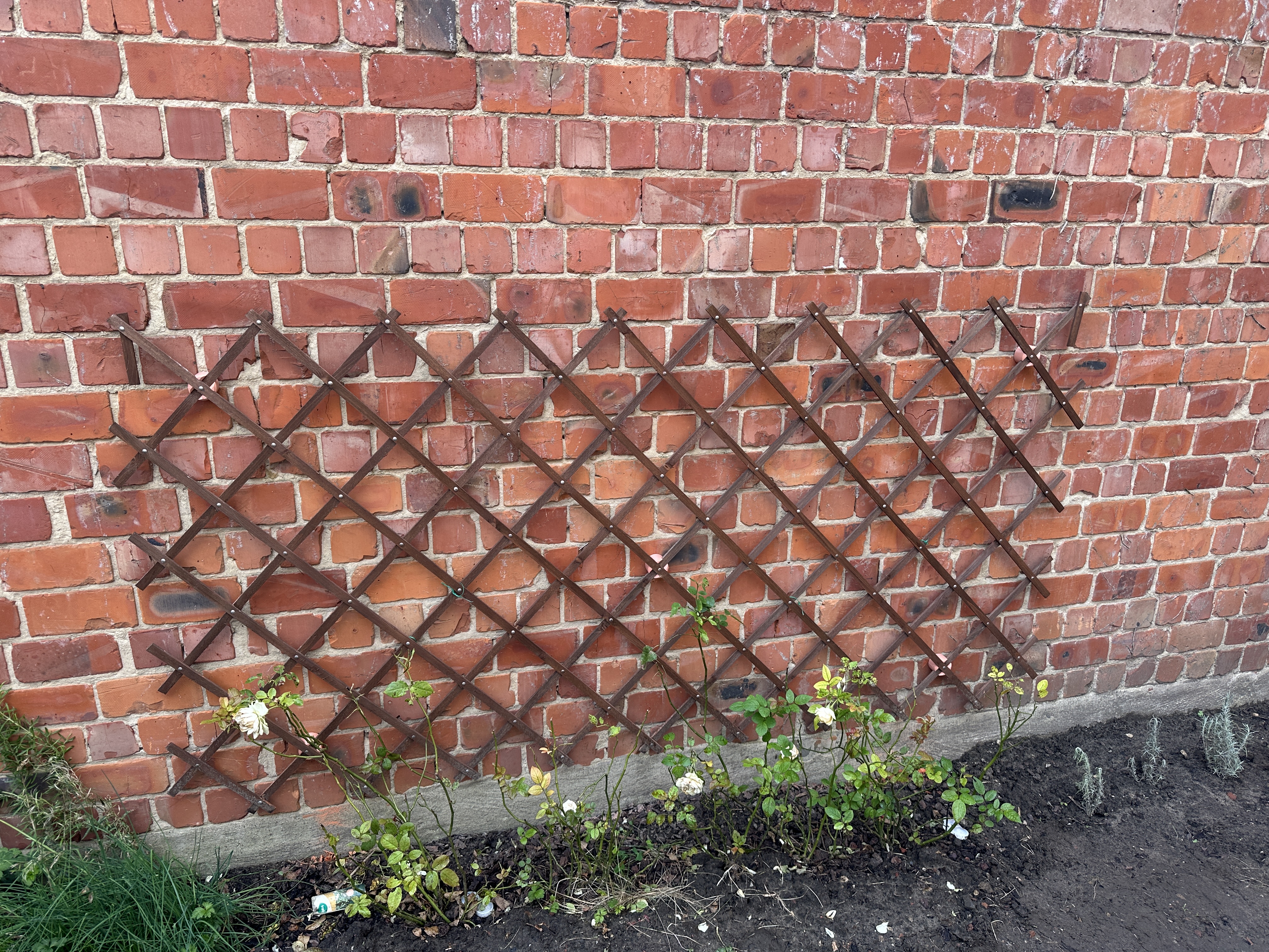 Foldable wooden trellis wall mount — thumbnail 2