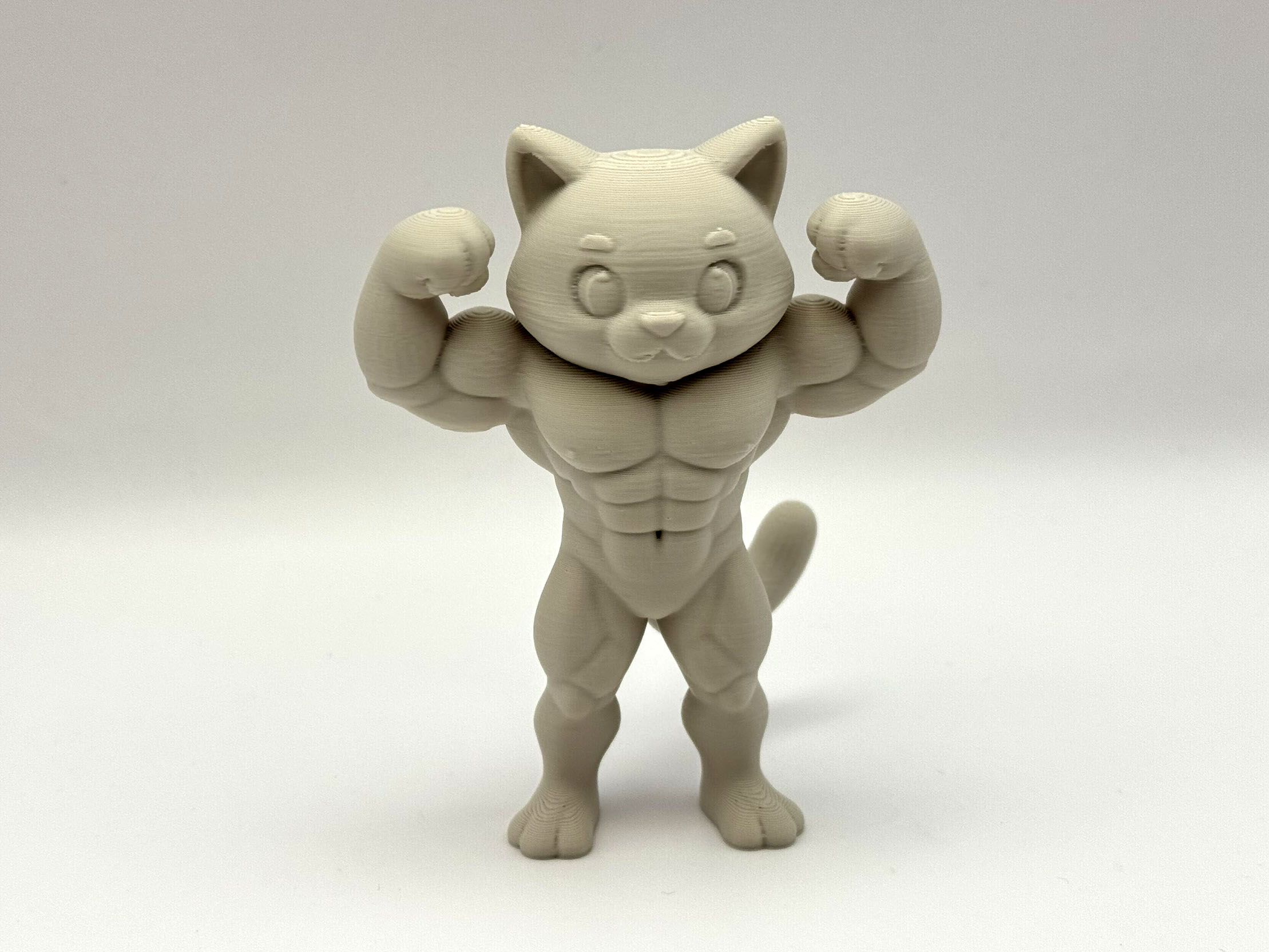 Beefy Cat
