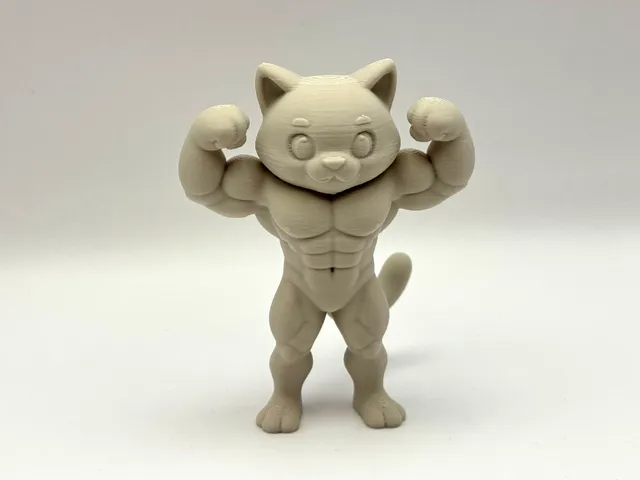 Beefy Cat