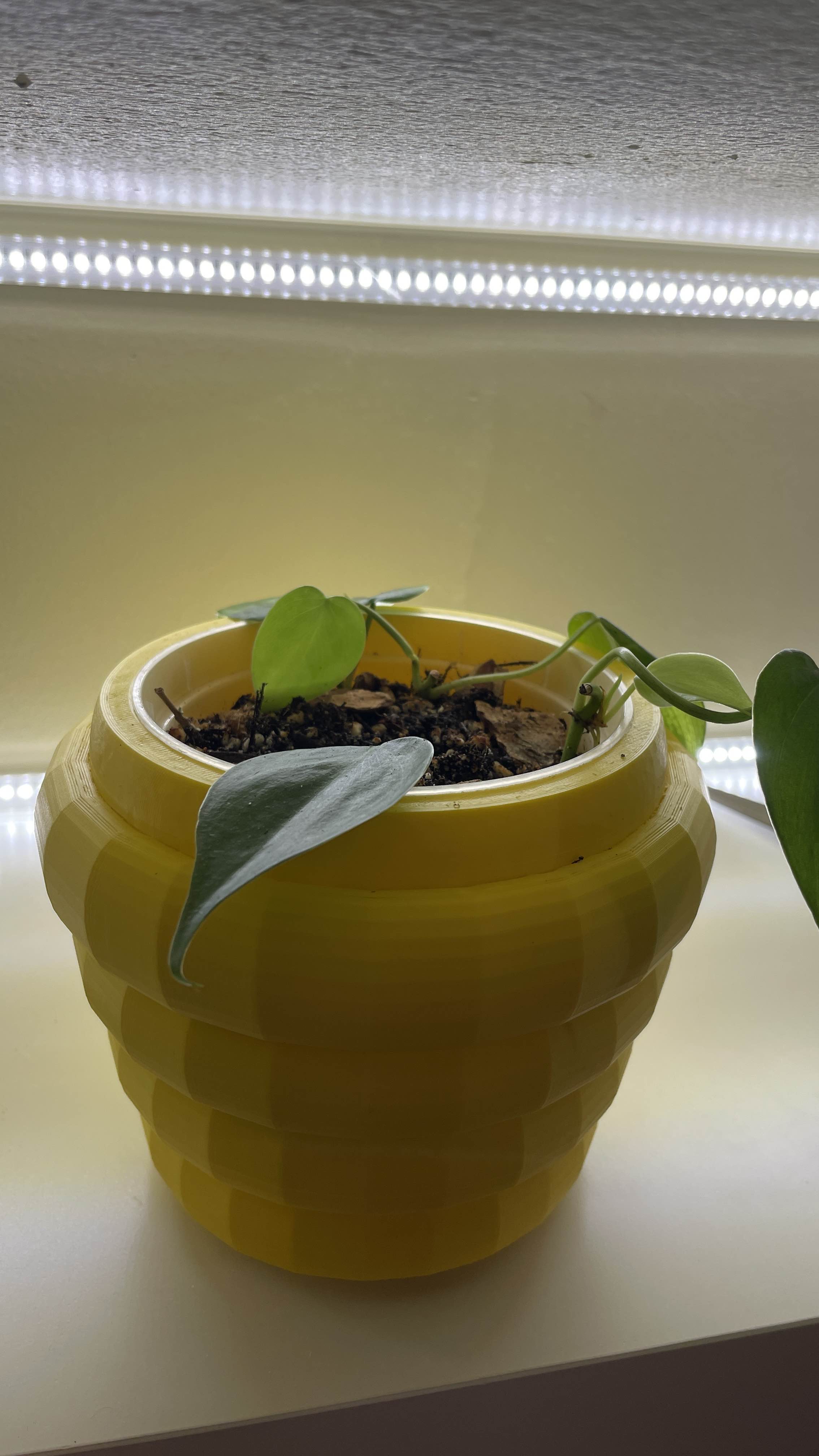 beehive-pot-por-anhle5-descargar-modelo-stl-gratuito-printables