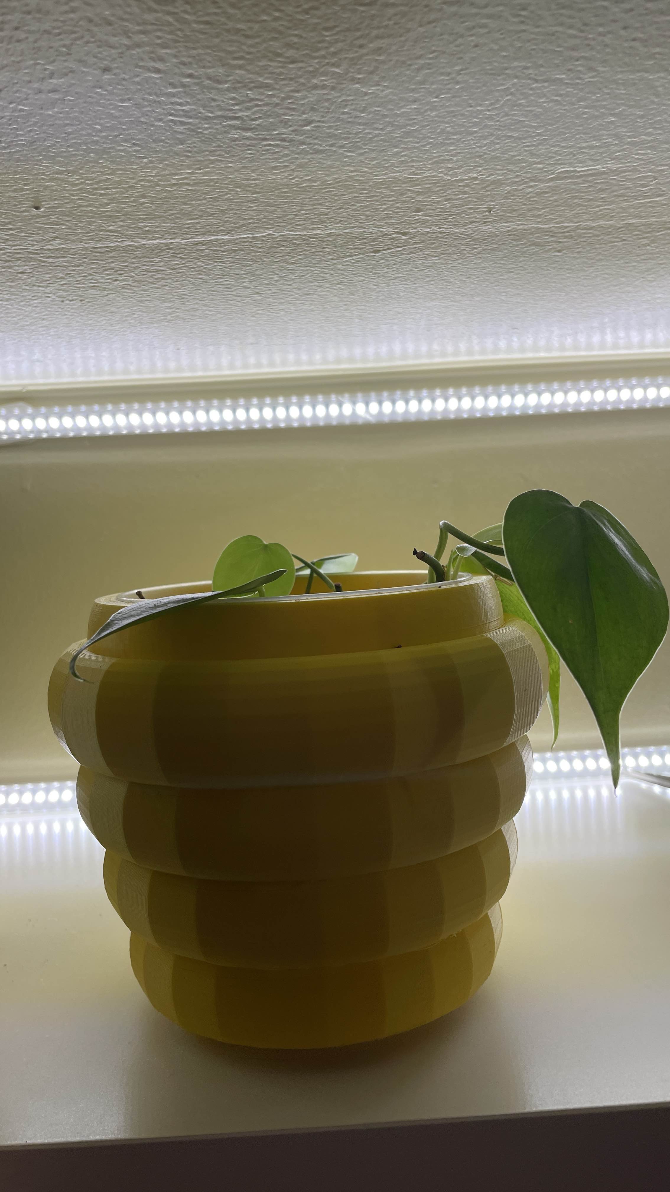 beehive-pot-por-anhle5-descargar-modelo-stl-gratuito-printables