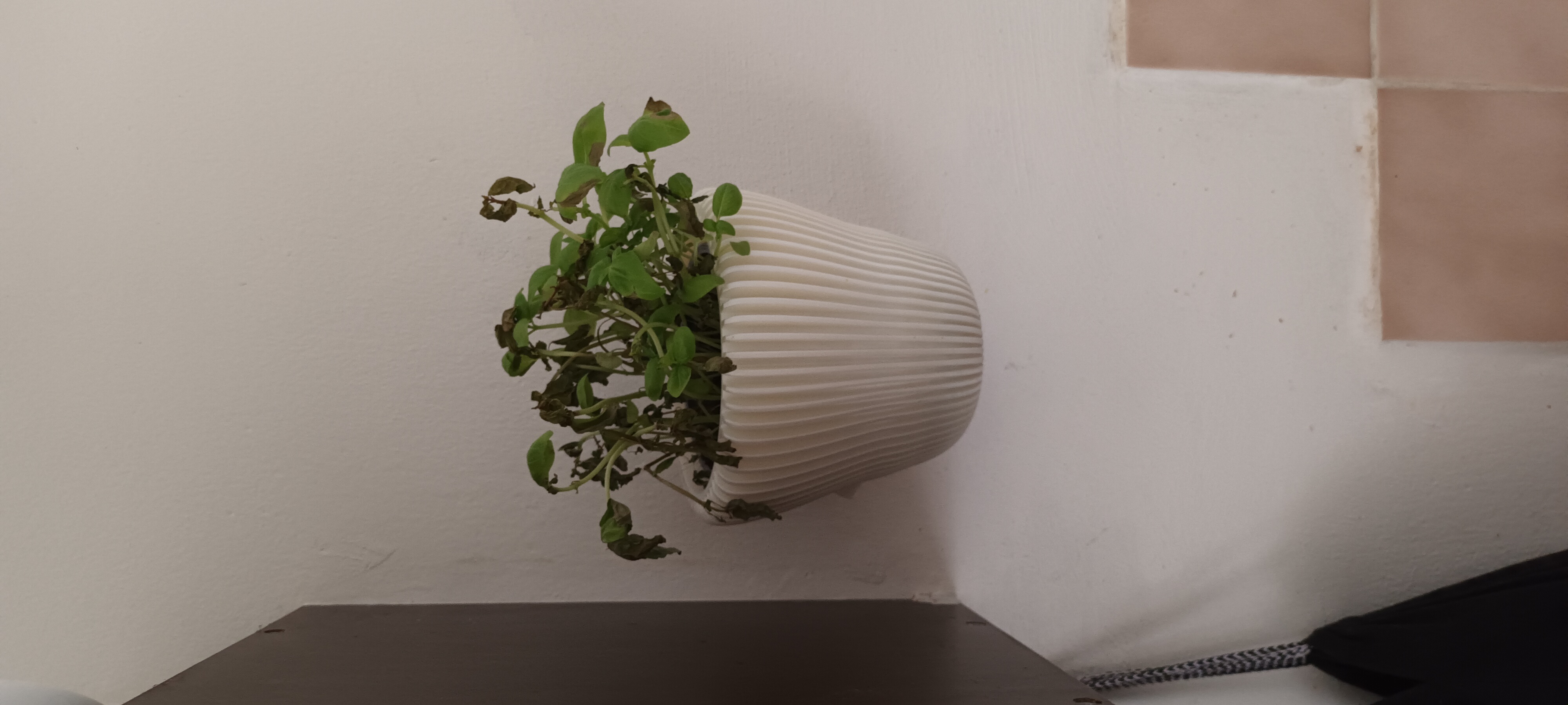 Miniatura 5 do modelo 3D hanging flower pots