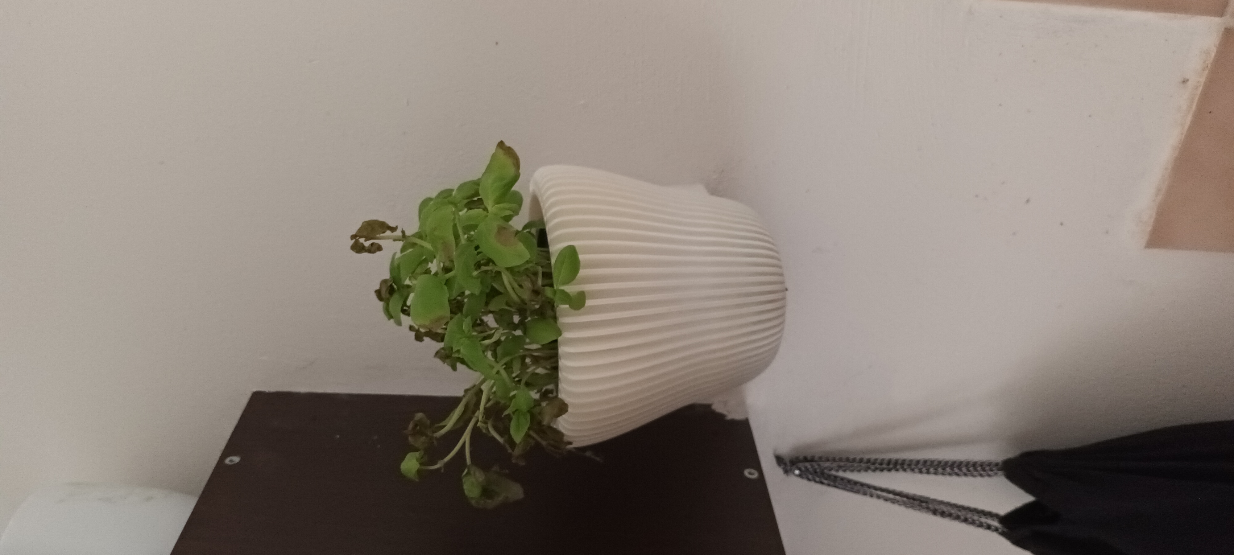 Miniatura 3 do modelo 3D hanging flower pots
