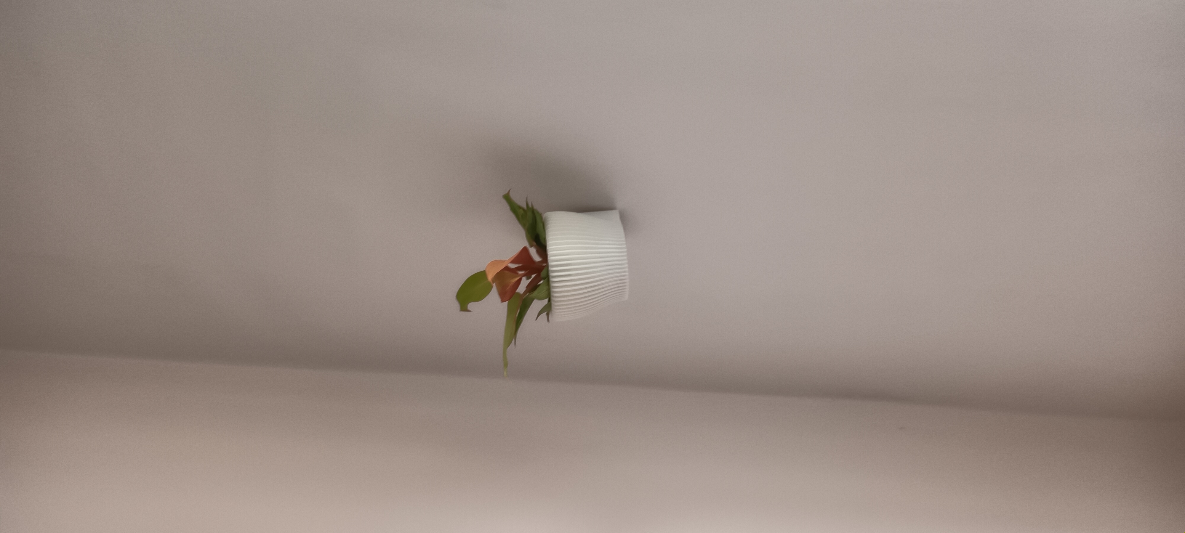 Miniatura 4 do modelo 3D hanging flower pots