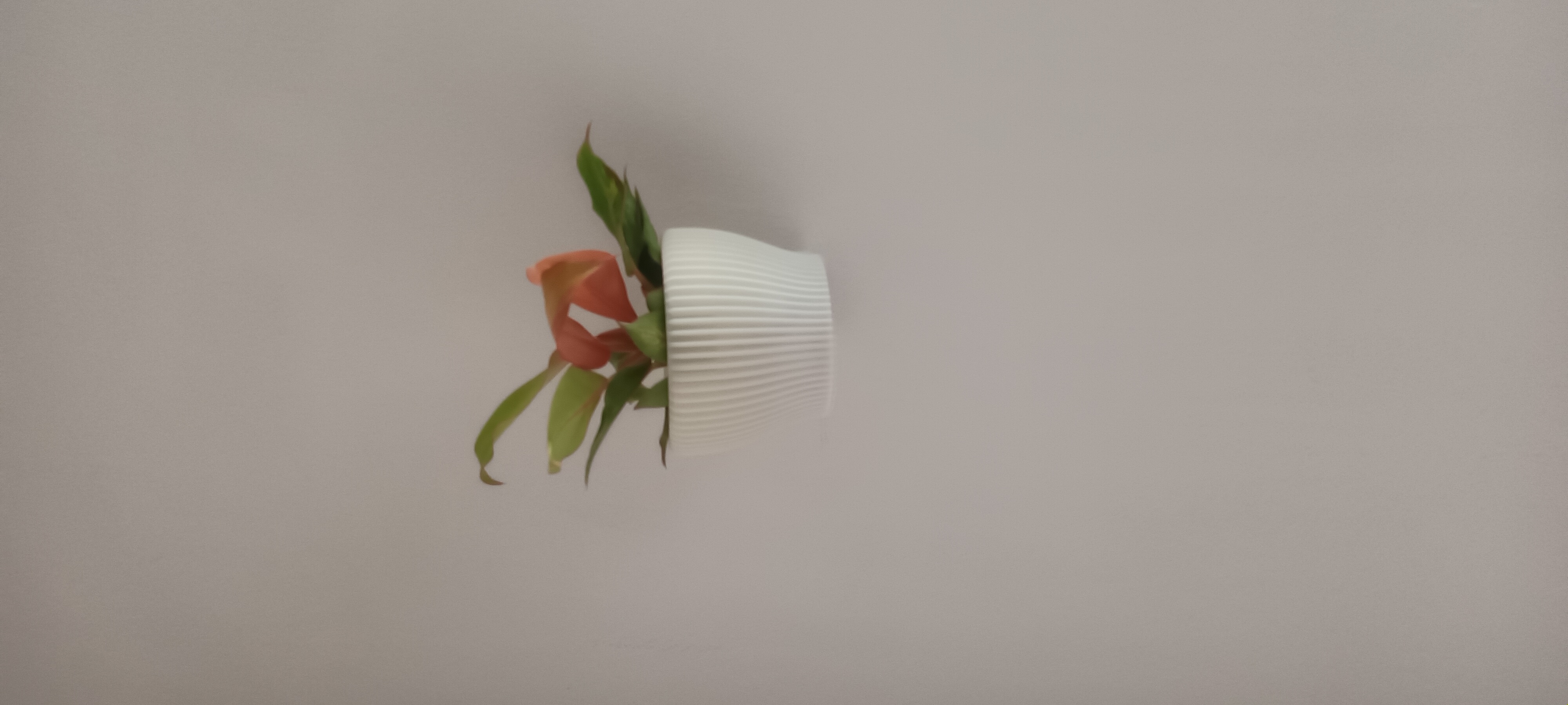hanging flower pots