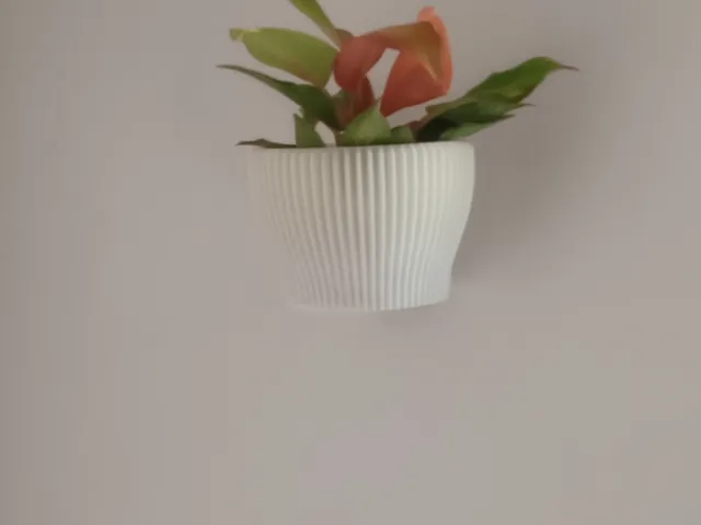 hanging flower pots