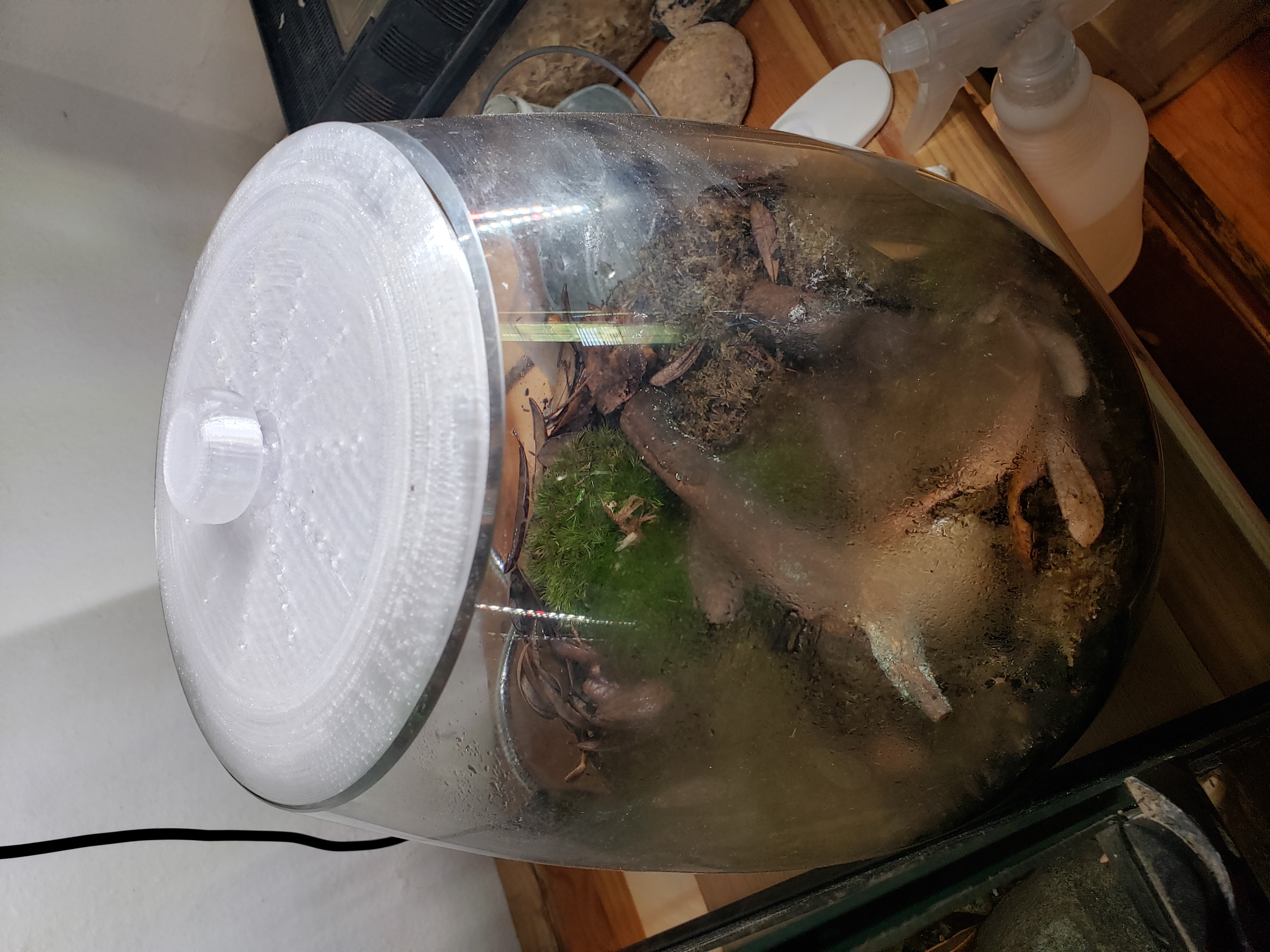 Vented Vivarium Lid