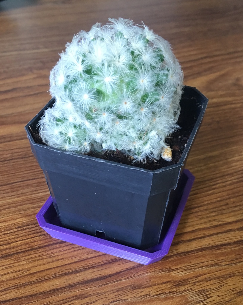 Square Plant Saucer