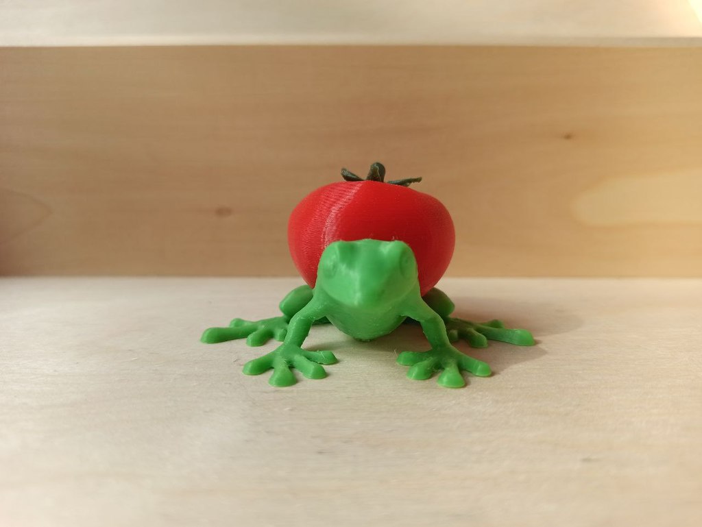 Tomato Frog — miniatura 3