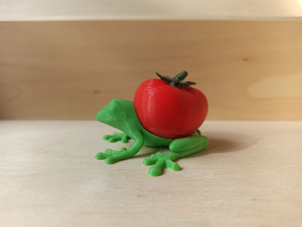 Tomato Frog — miniatura 4