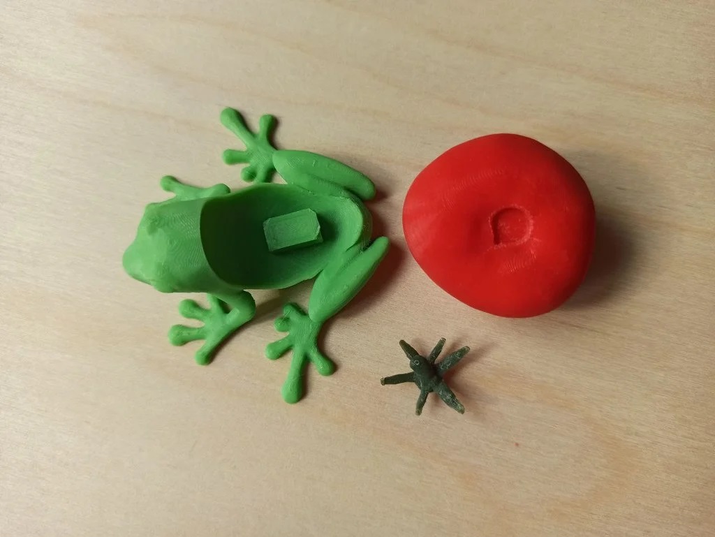 Tomato Frog — miniatura 2