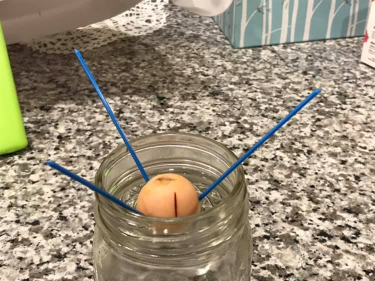 Printable Toothpick — miniatura 2