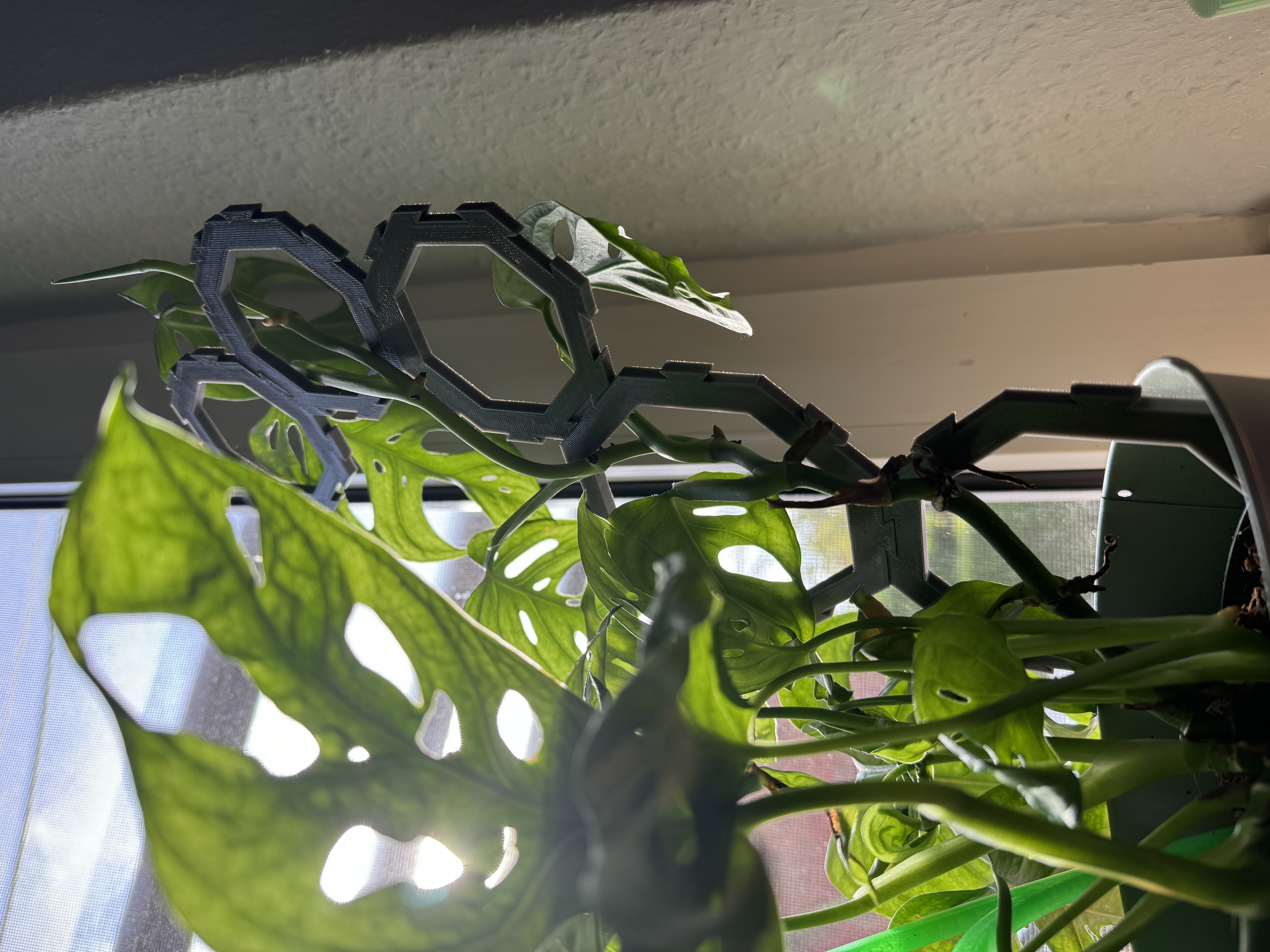 Modular octagon plant support — miniatura 2