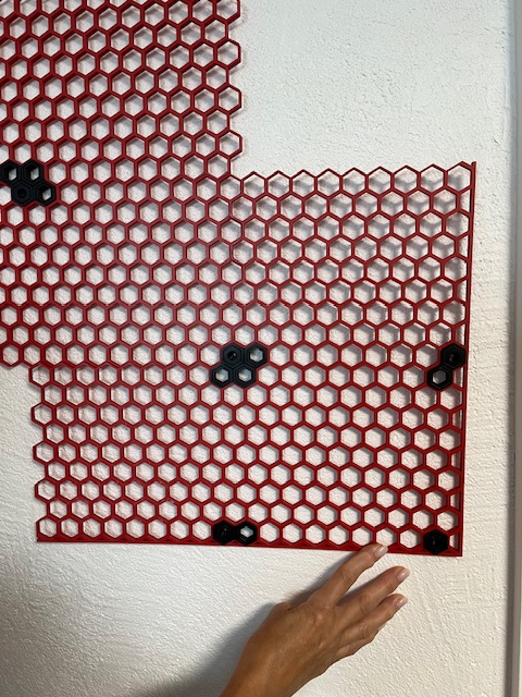 Honeycomb storage wall 224 by 190 with borders.