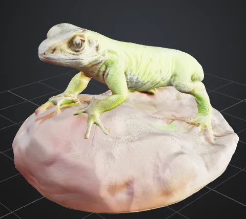 Baby lizard on rock by Micah Sunderland | Download free STL model ...