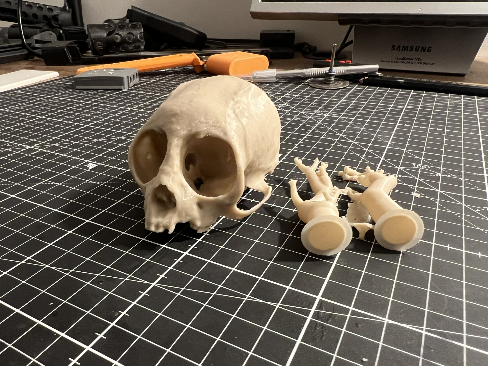 Squirrel Monkey Skull — thumbnail 2