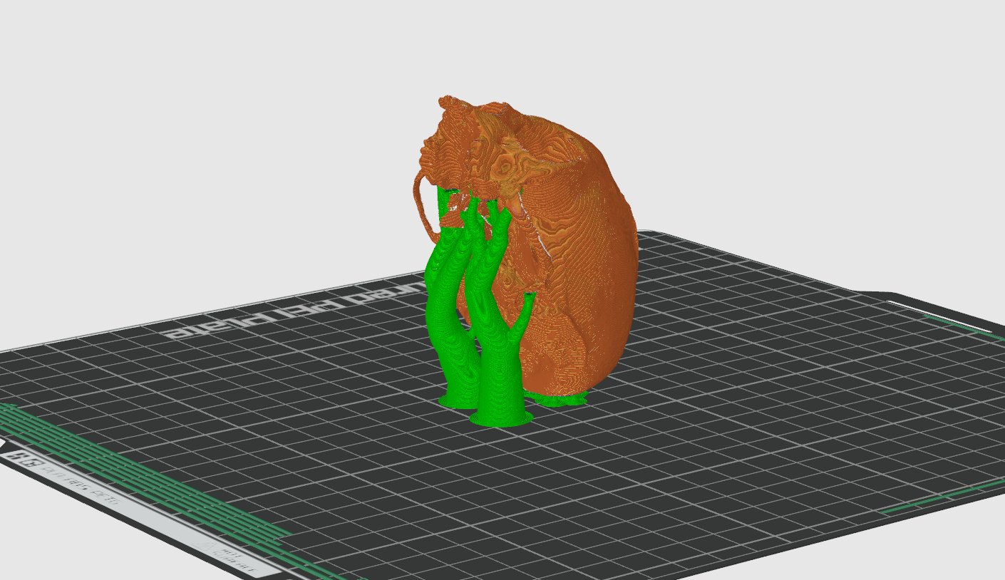 Squirrel Monkey Skull — thumbnail 6