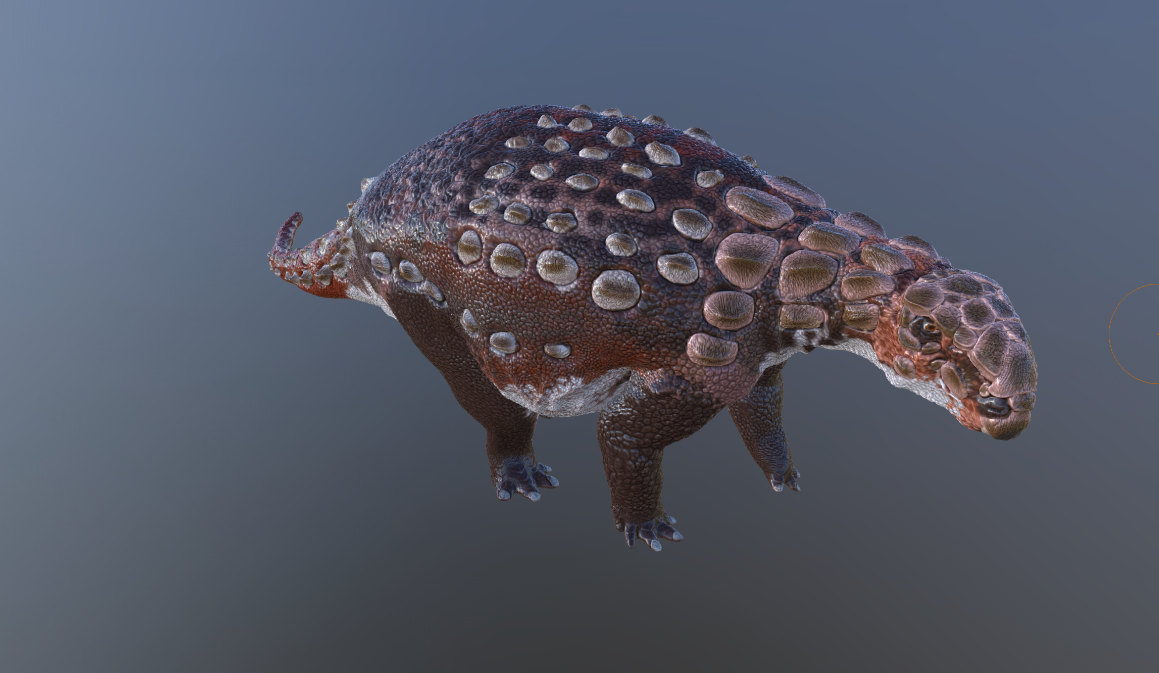Revised Panoplosaurus Mirus