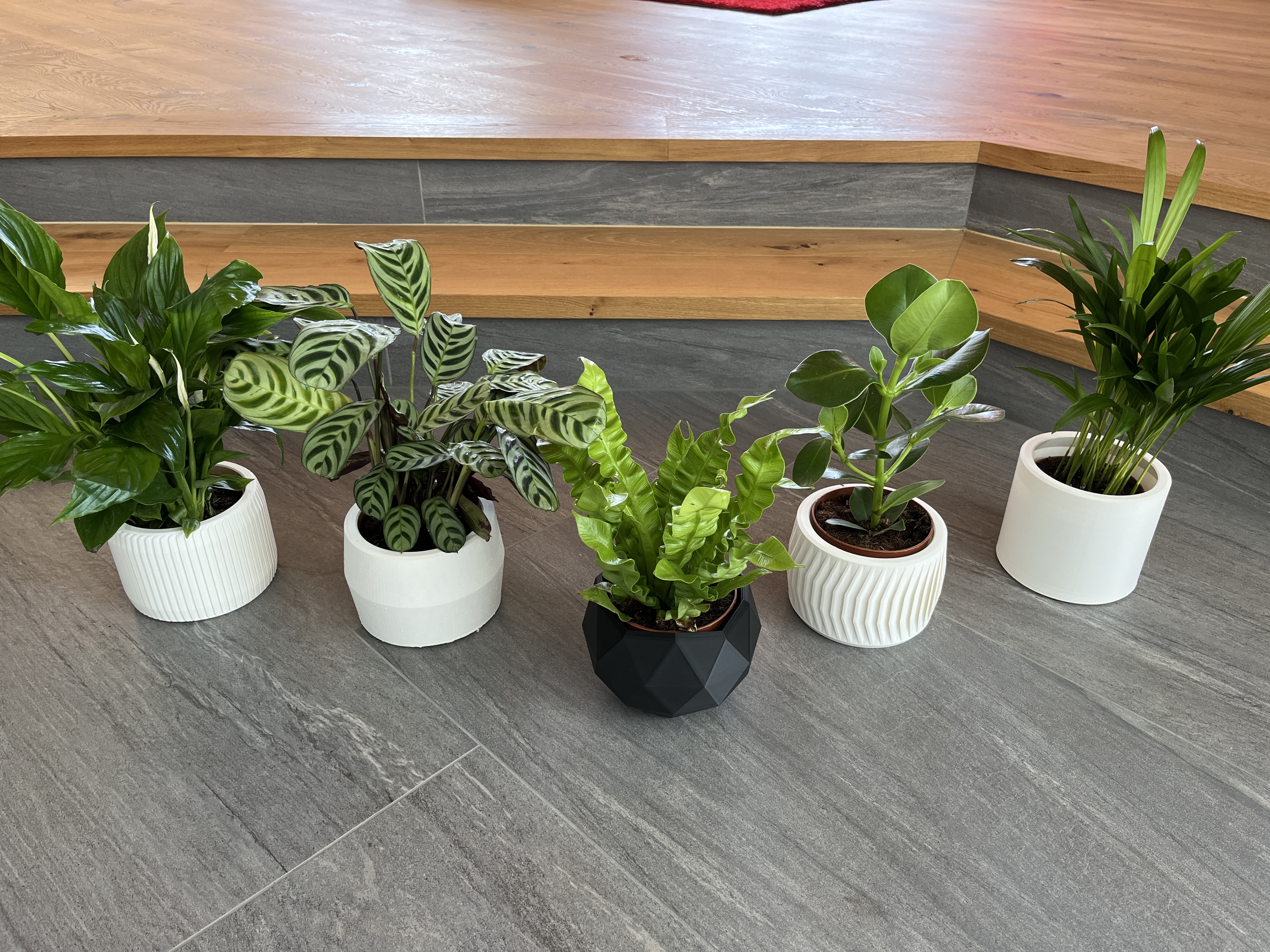 Modern Plant Pots covers collection