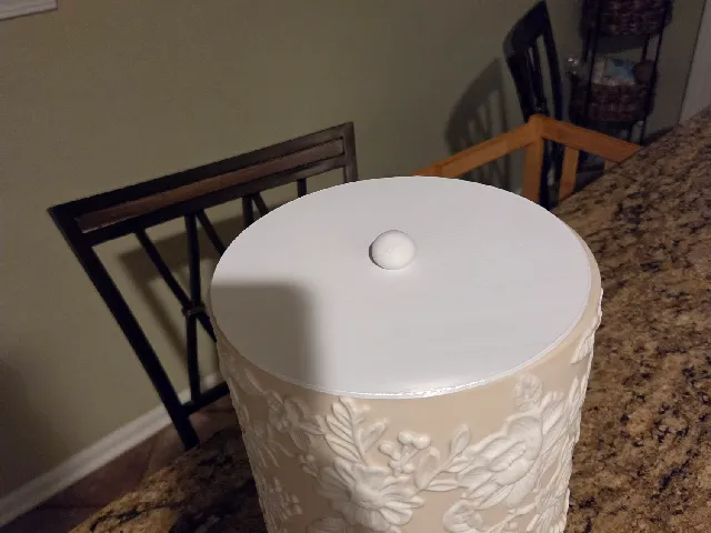 Trash Can Lid