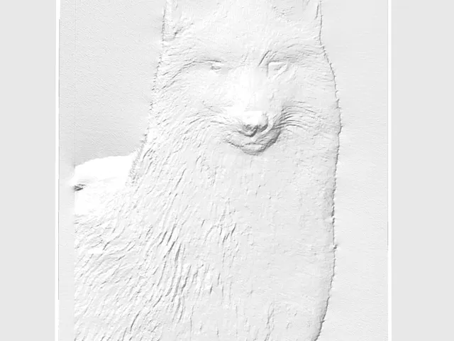 Woolf plate