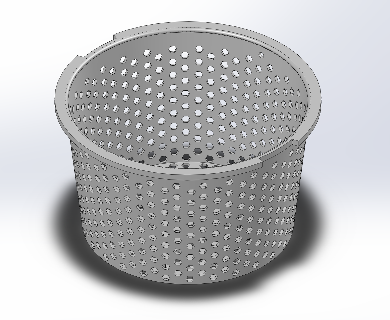 Skimmer Basket