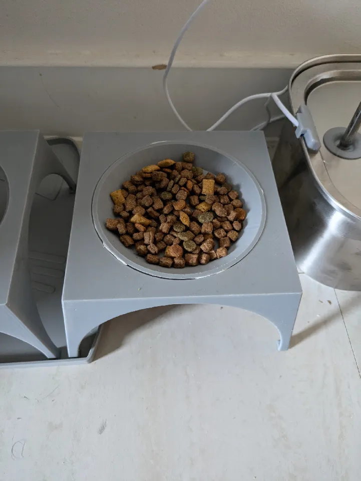 Cat Plate-Bowl Riser by Connor Hollett | Download free STL model ...