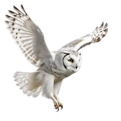 Snowy Owl (Hedwig) with flat bottom by Challapenjo Snowy Owl (Hedwig) with flat bottom by Challapenjo