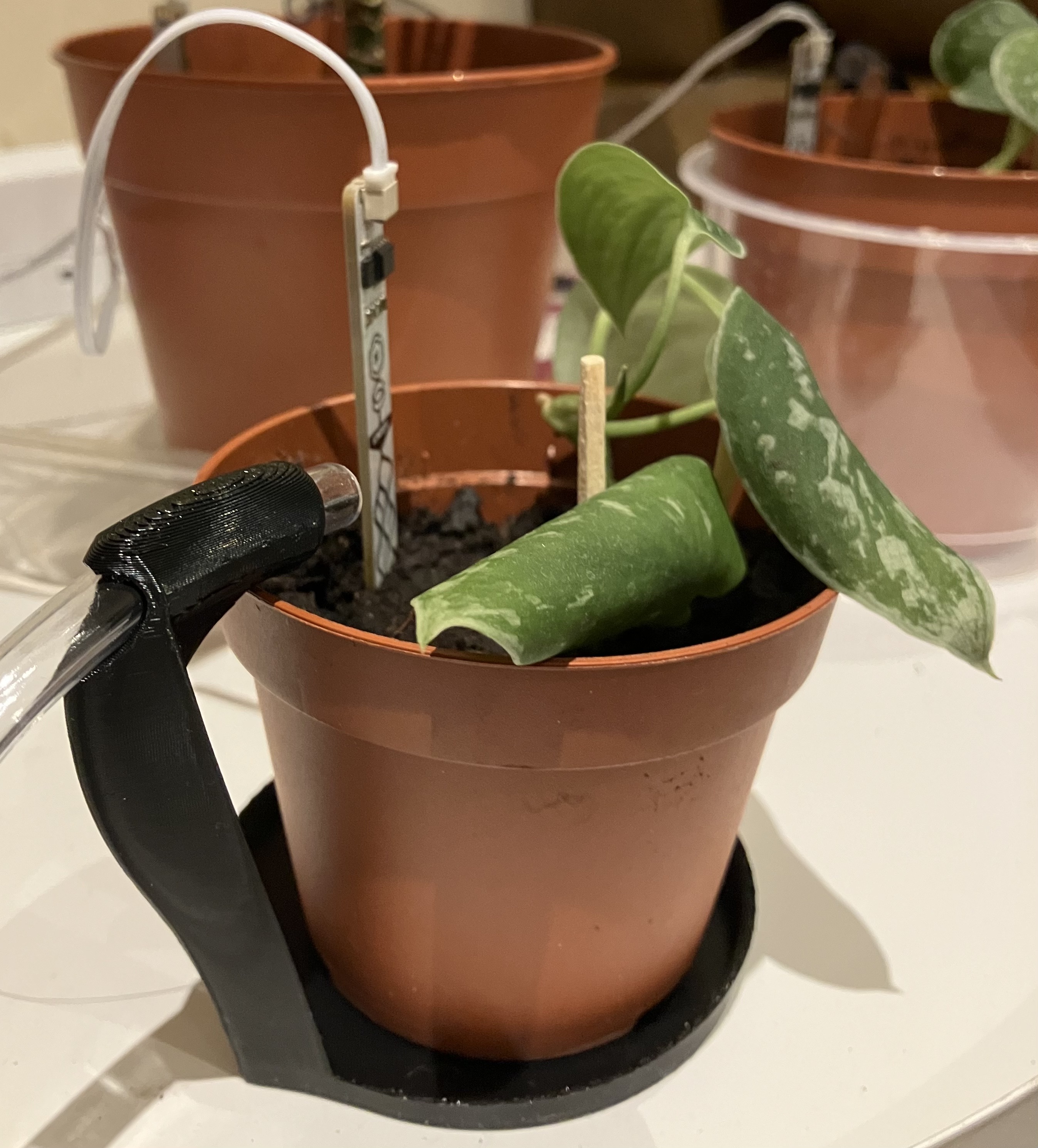 Planter saucer with pipe holder
