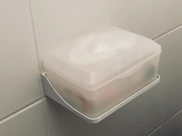 Shelf for Flushable Moist Wipes Box