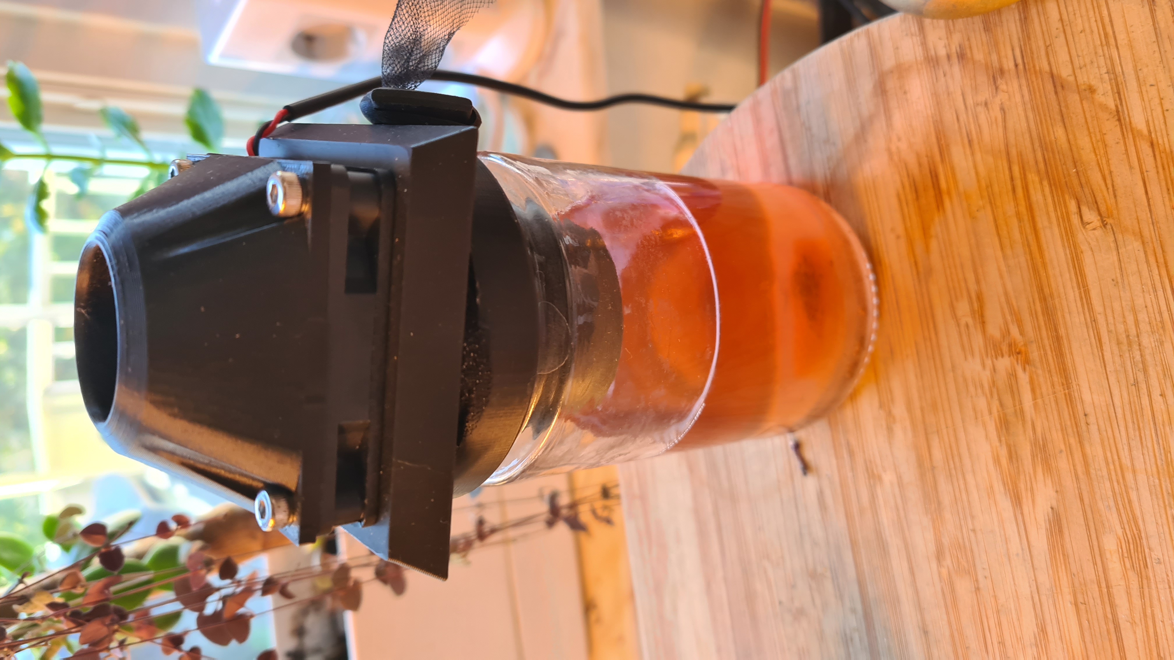 Fruit Fly Trap Active & Passive — thumbnail 3