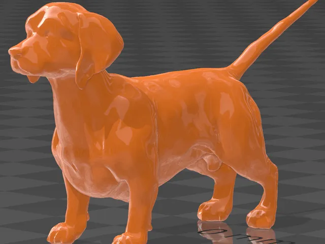 Dachshund dog- perro salchicha-Gordo bachicha