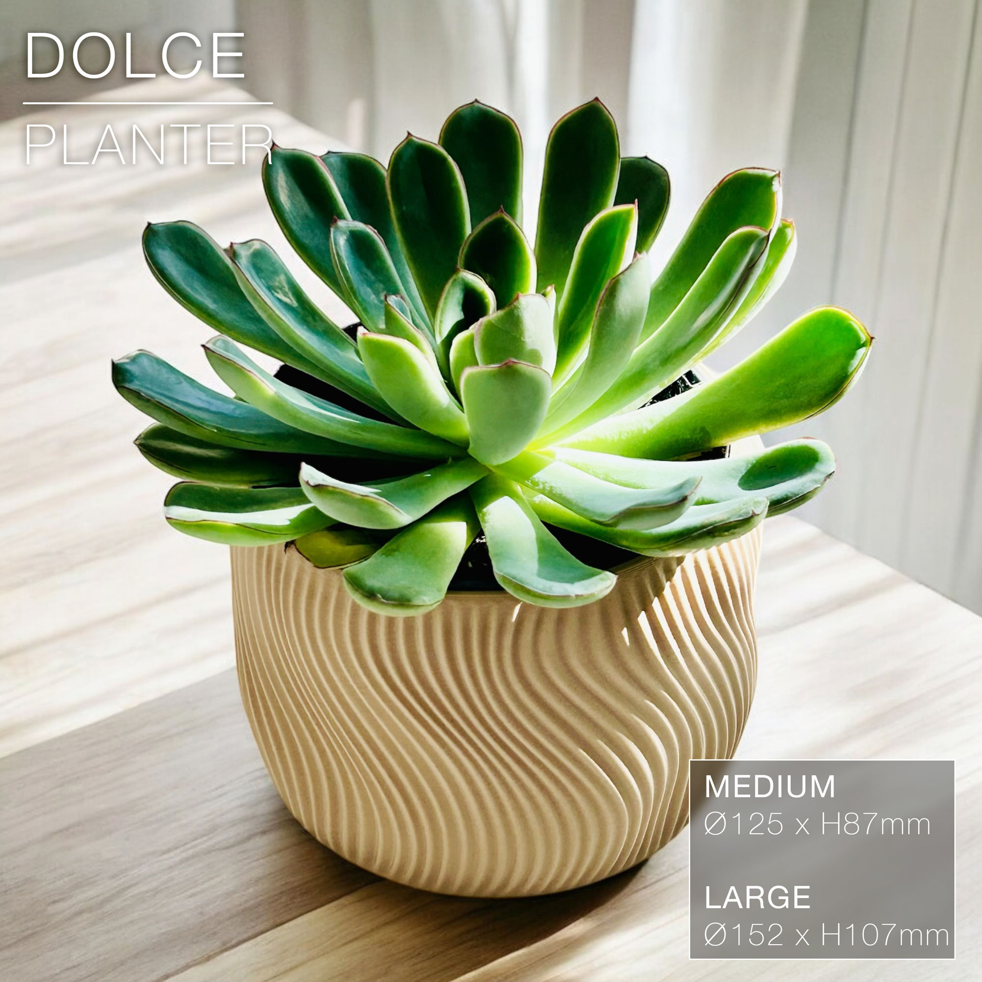 DOLCE | Indoor Planter Pot