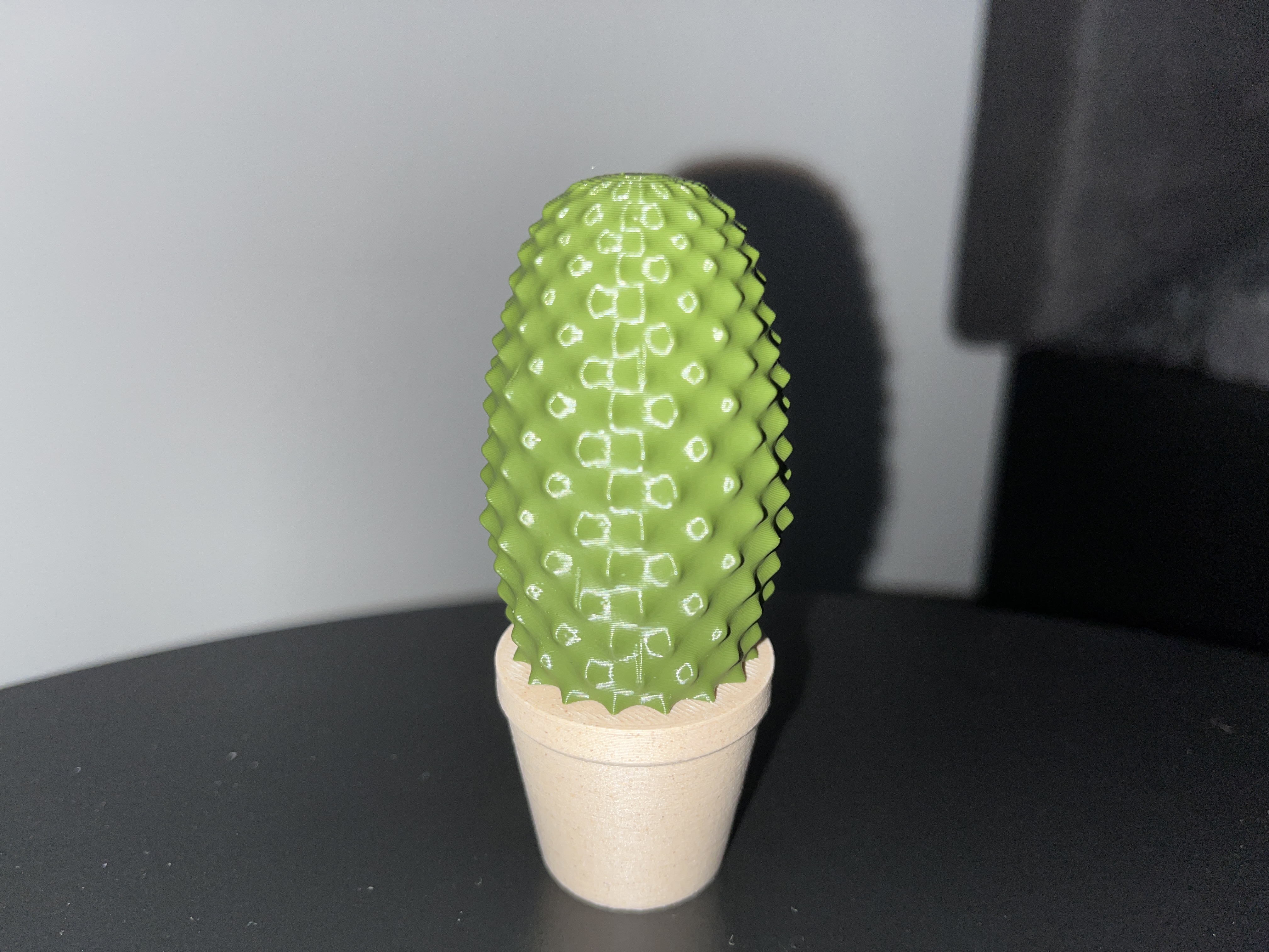 Cactus set — miniatura 5