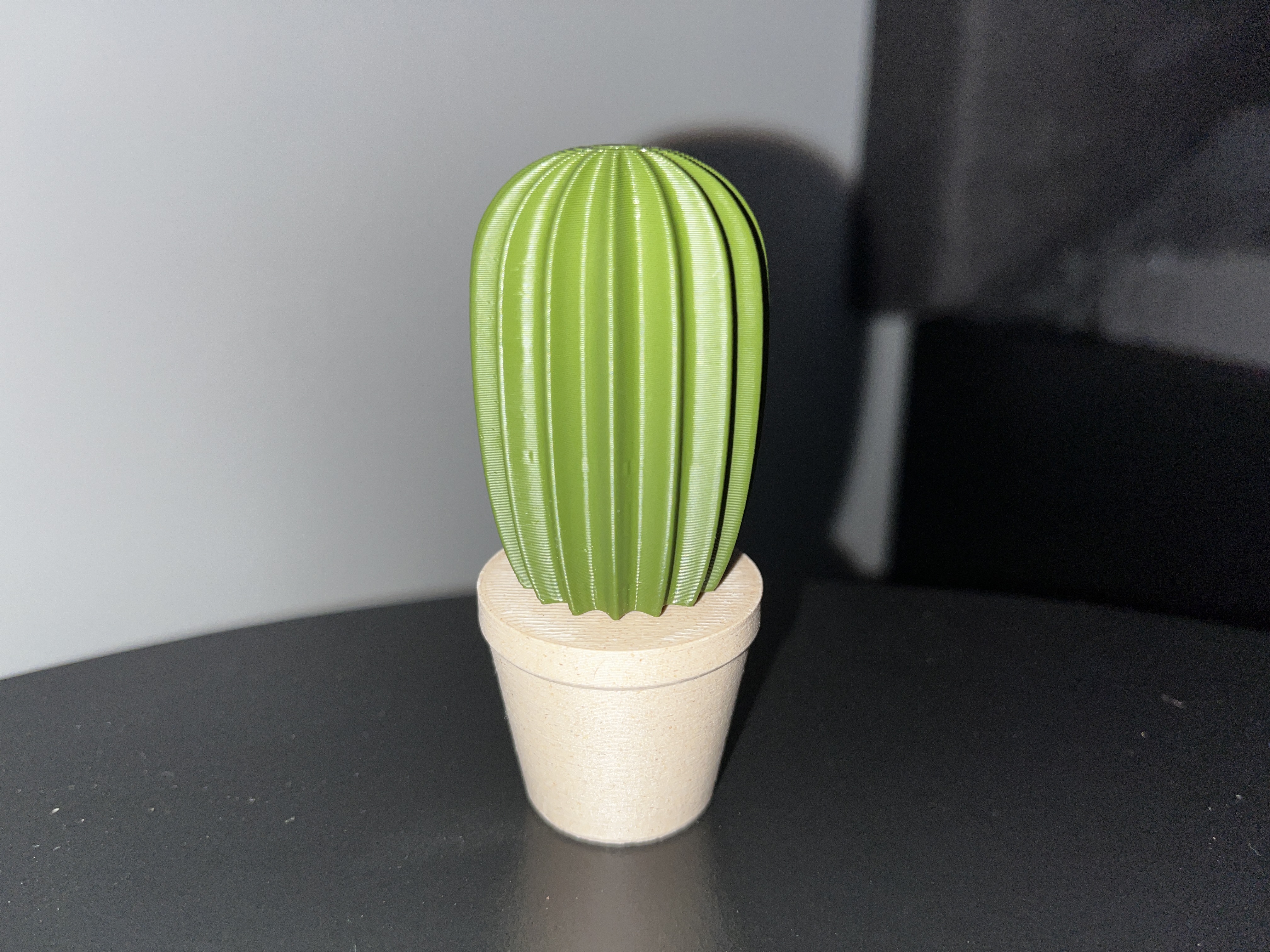 Cactus set — miniatura 6