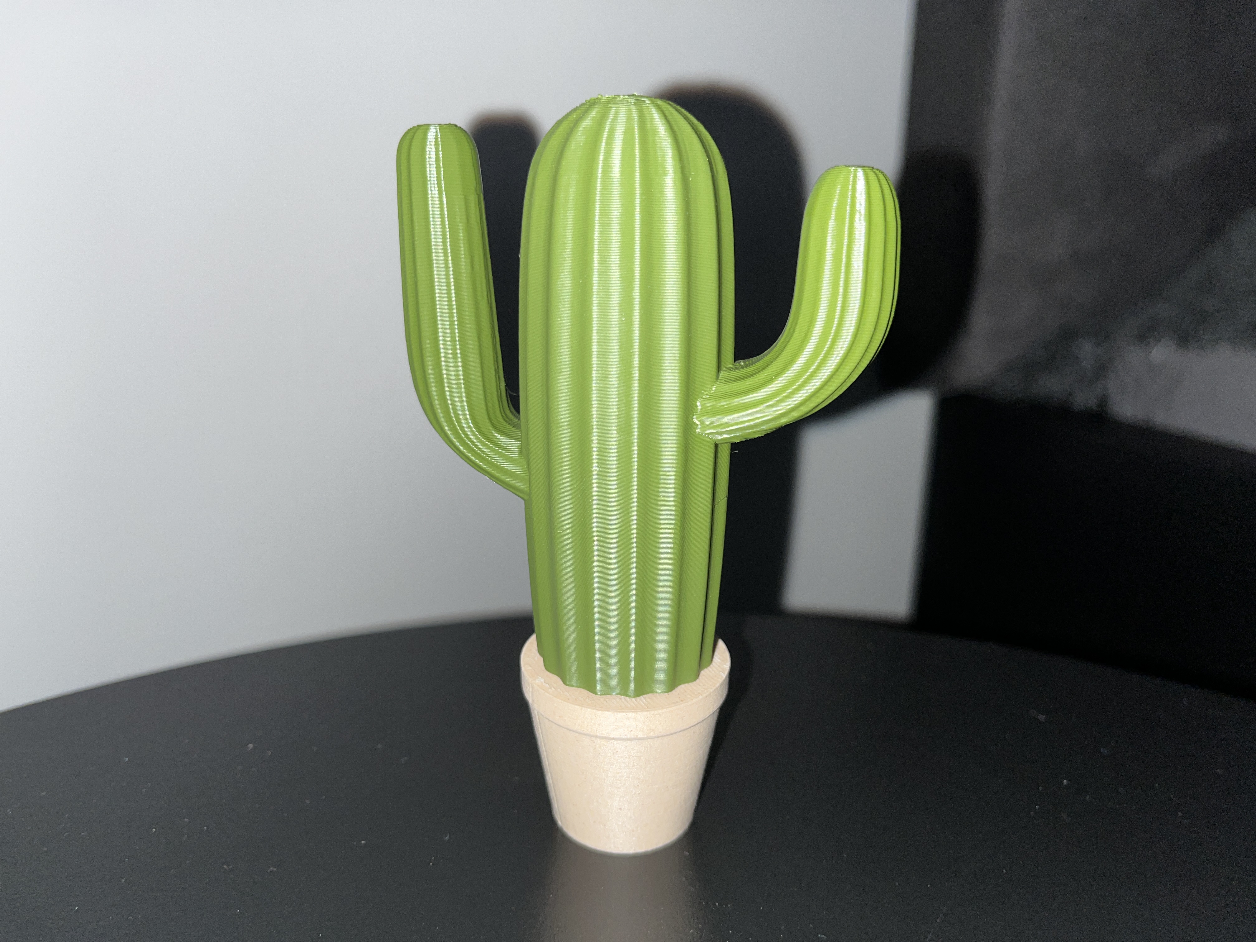 Cactus set — miniatura 3