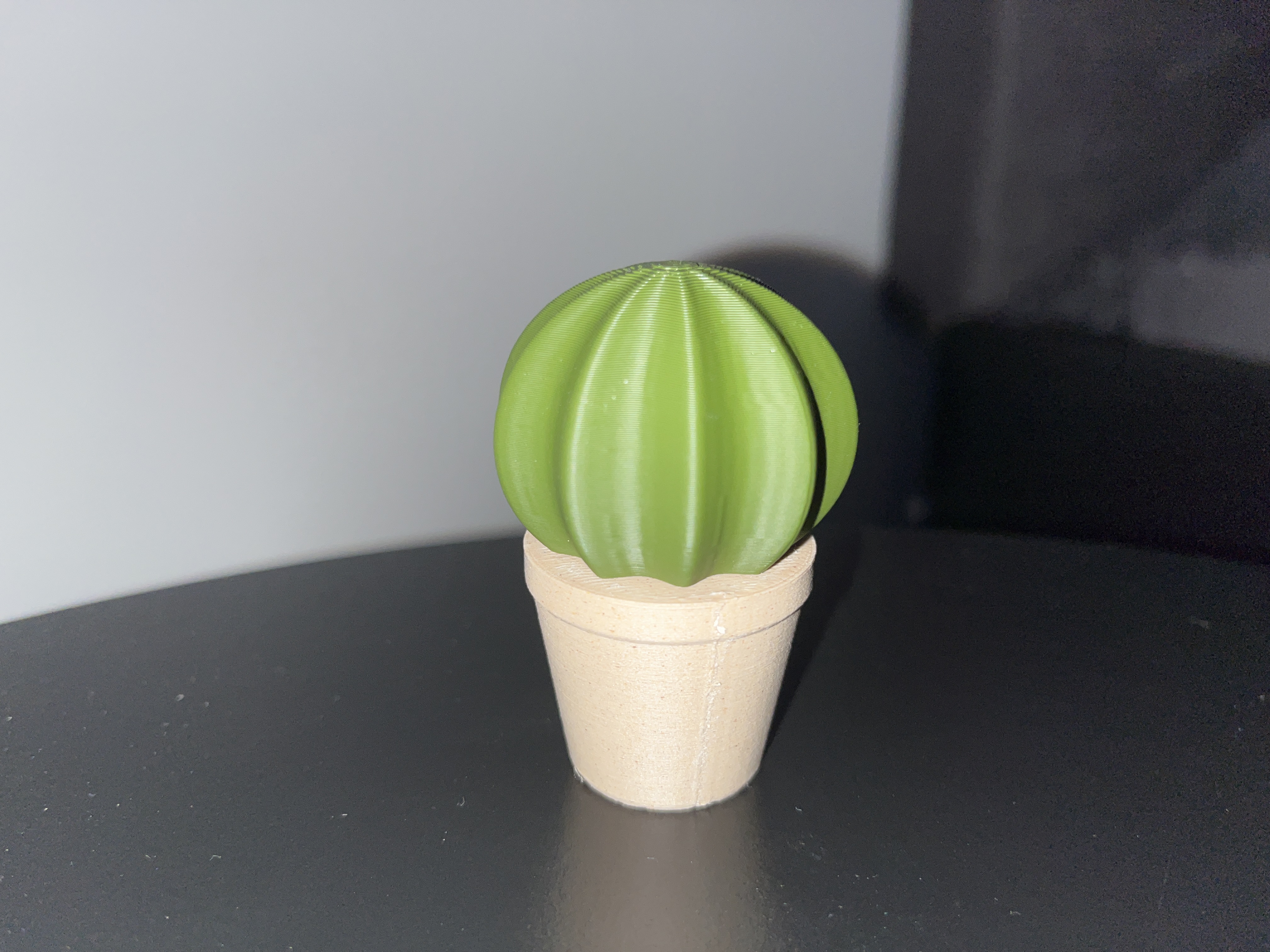 Cactus set — miniatura 4