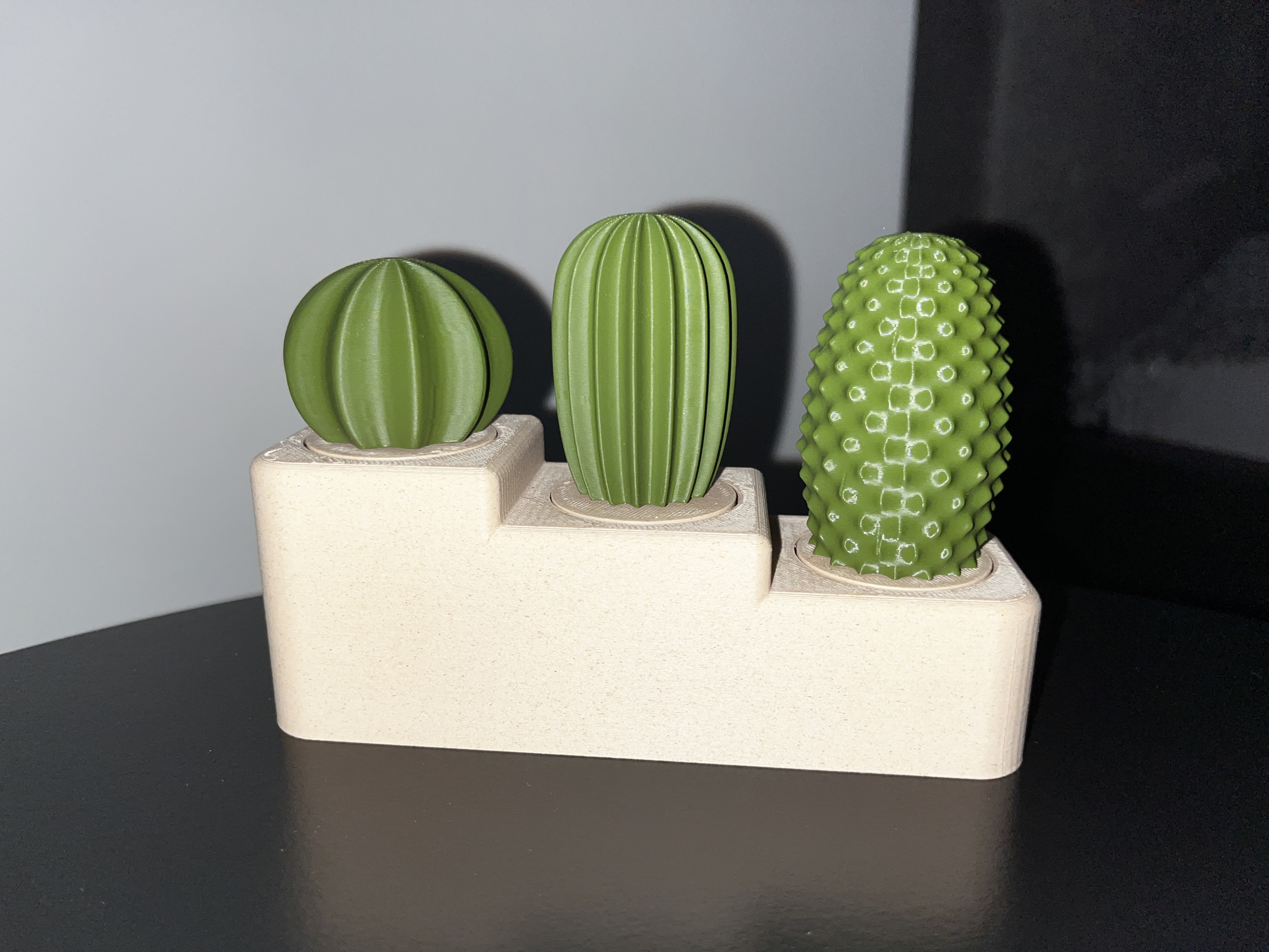 Cactus set — miniatura 2