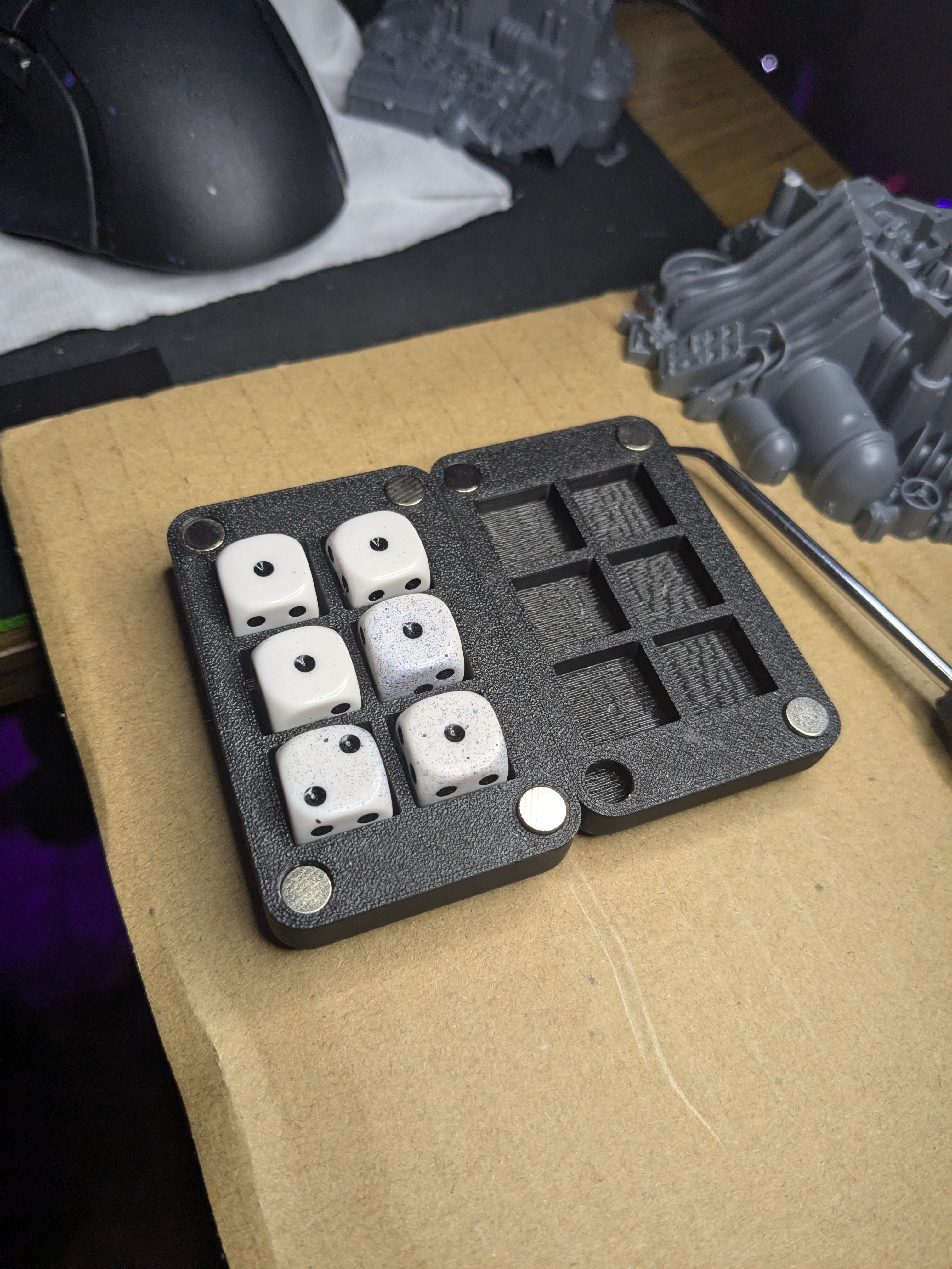 Compact Magnetic D6 Case