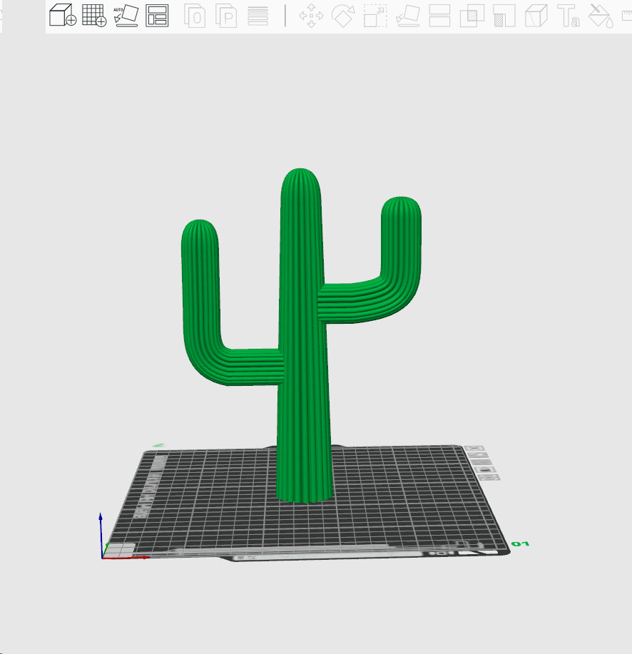 Saguaro Cactus