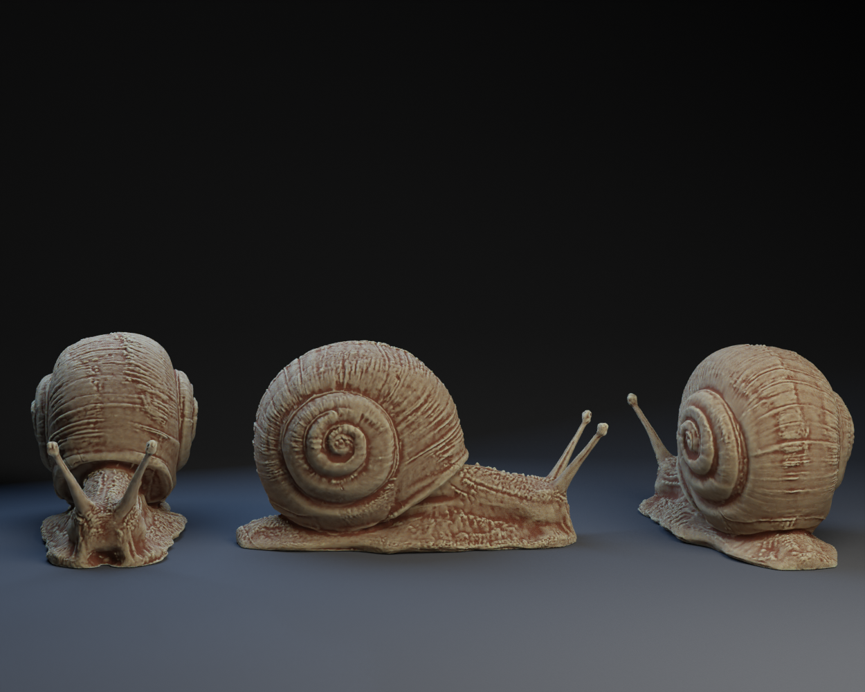 snail-by-peter-farell-printables-store