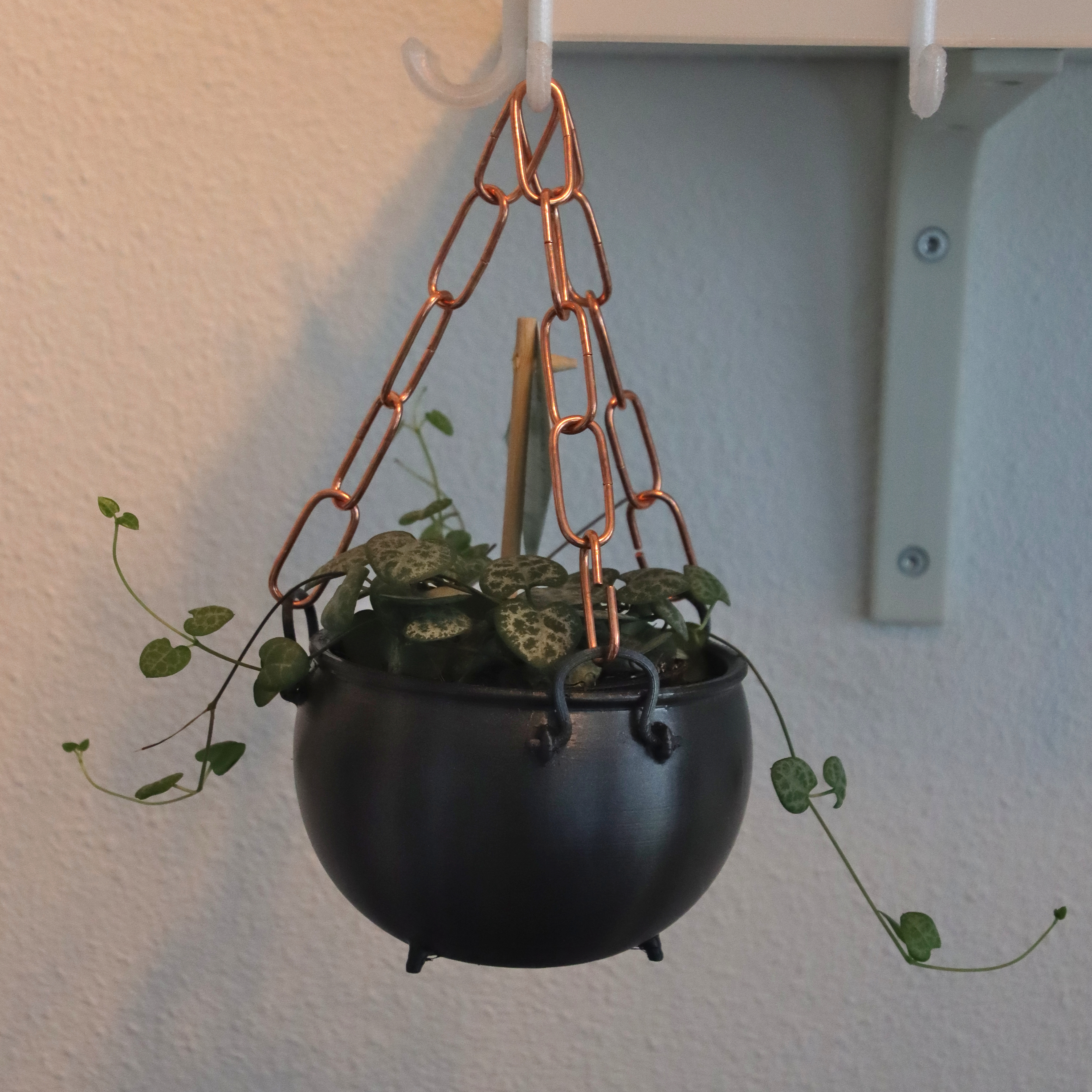 Hanging/standing cauldron planter