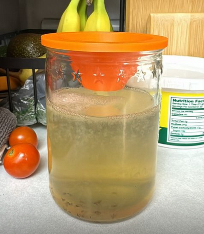 Parametric Fruit Fly Trap