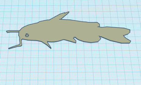 Catfish