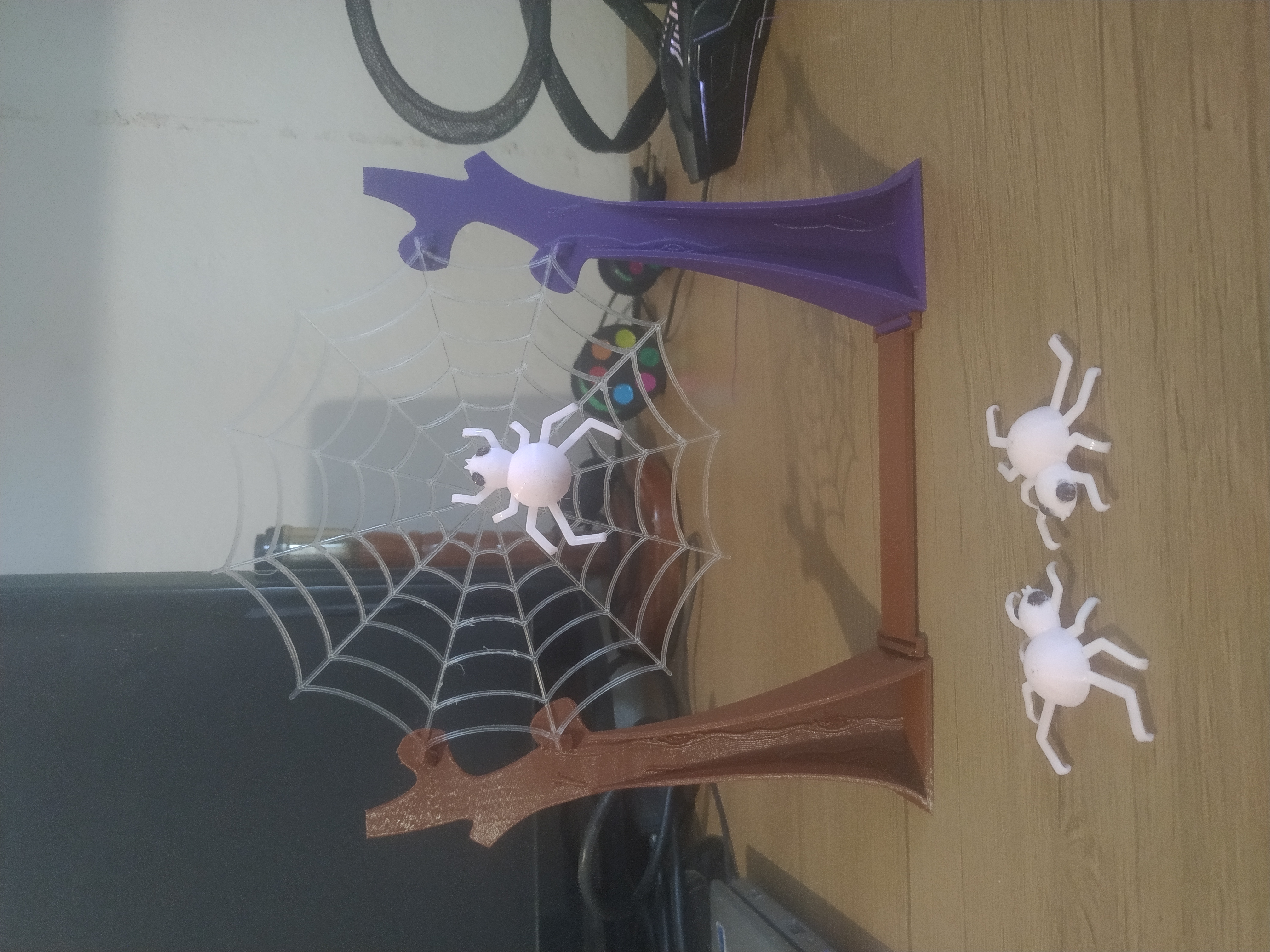 Jump spider