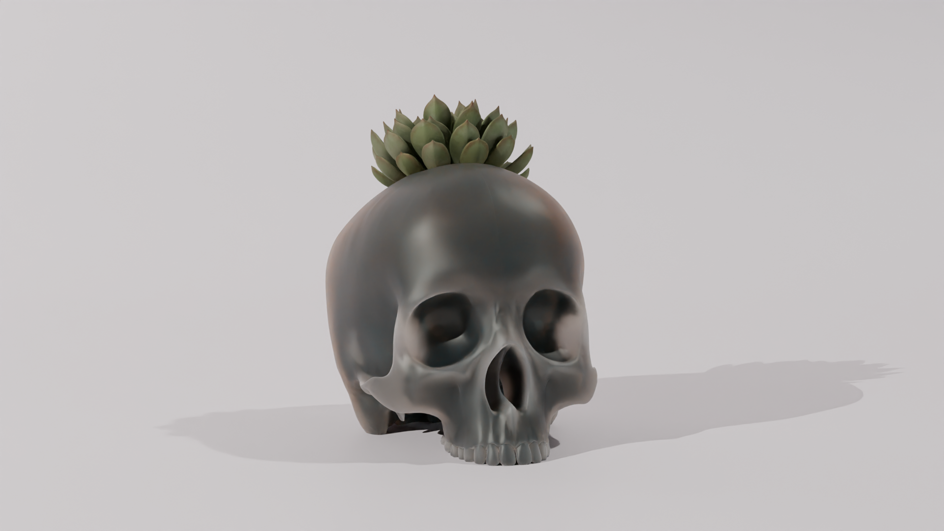 Skull Pot Plant - Home Decoration