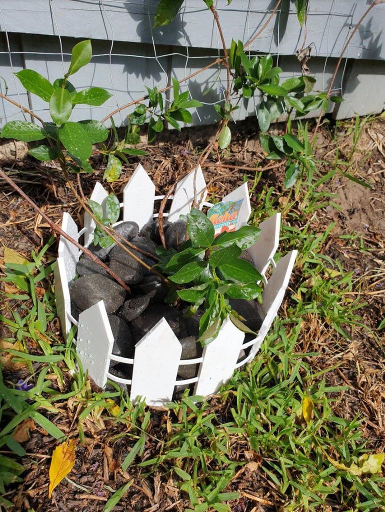 Small modular garden fence for around plants