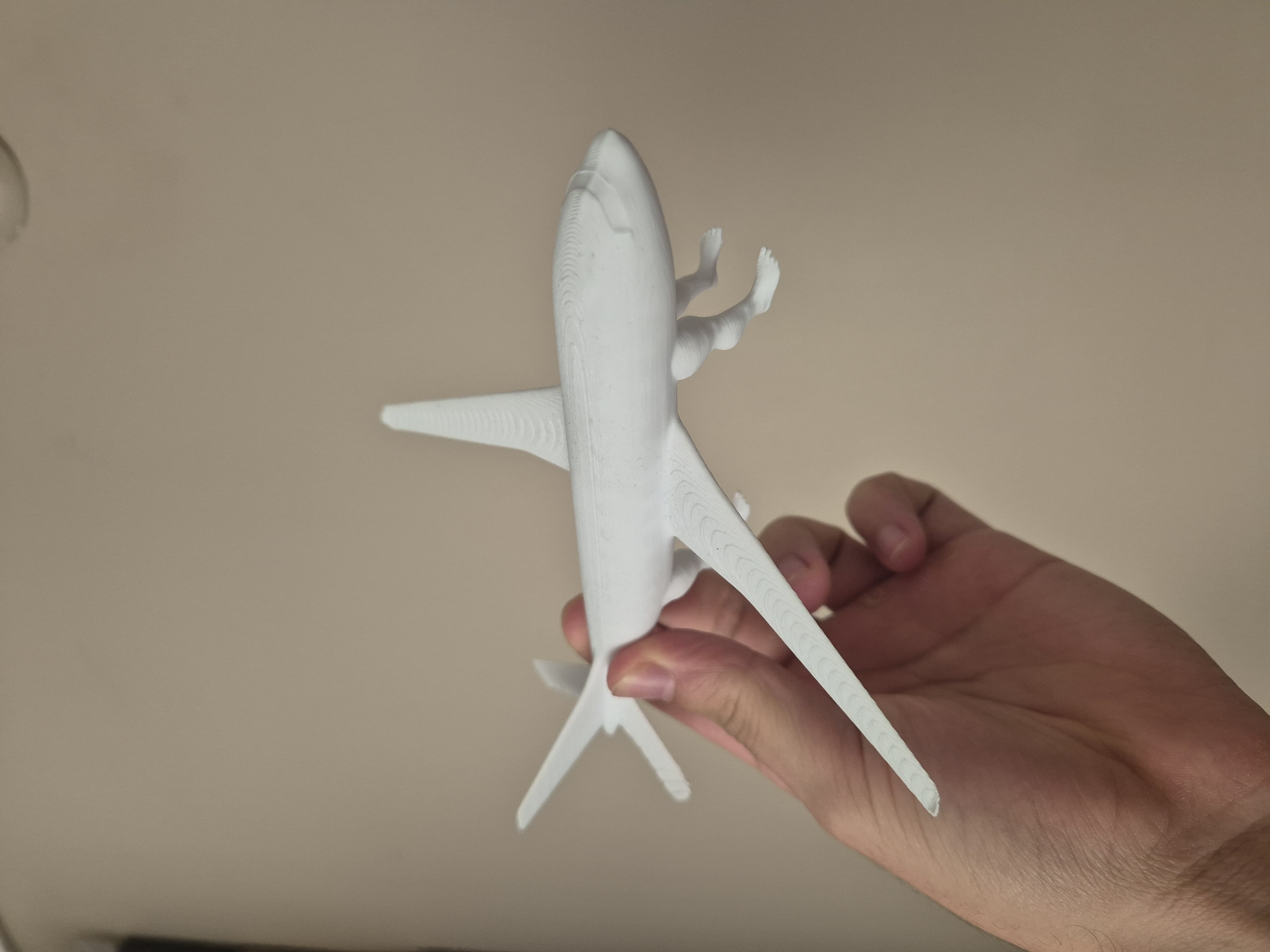 Yürüyen uçak / Walking plane