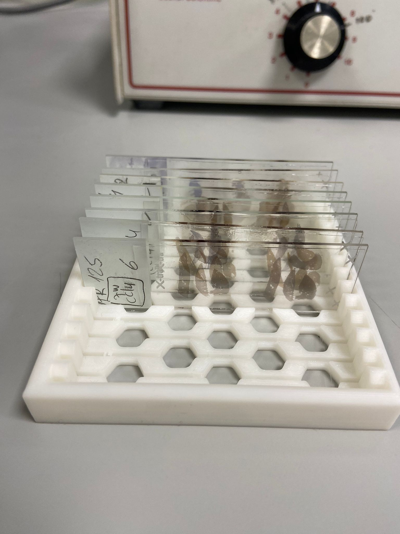 Microscope Slider Holder